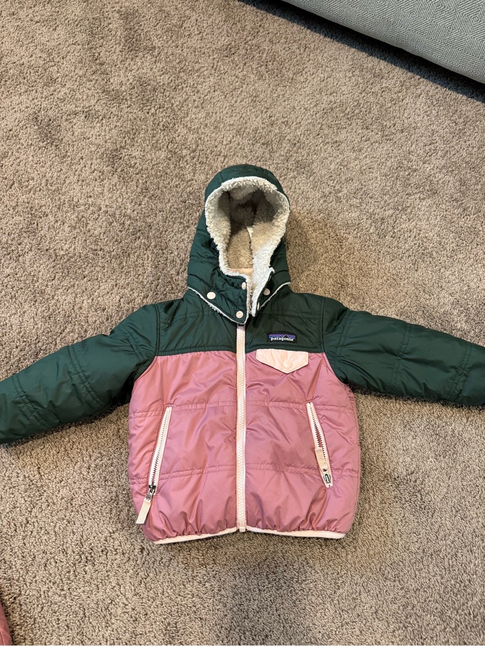 Patagonia Puffer 2T